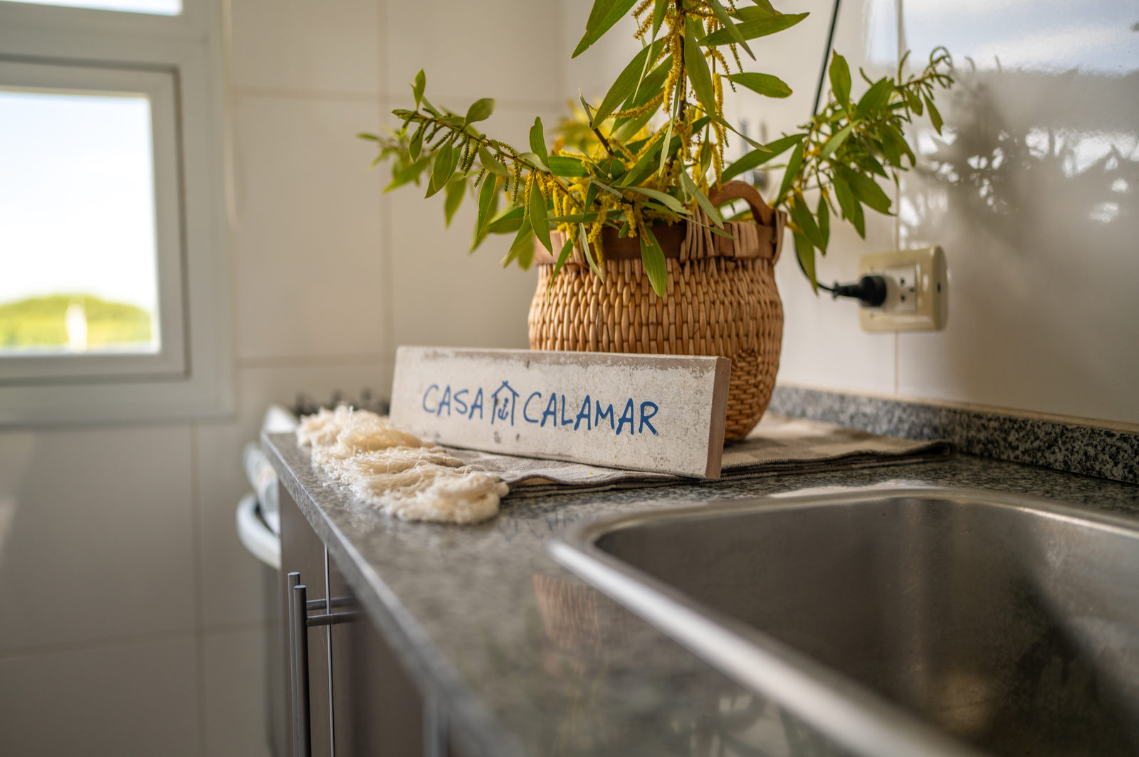 CASA CALAMAR: trabajo de BULLET