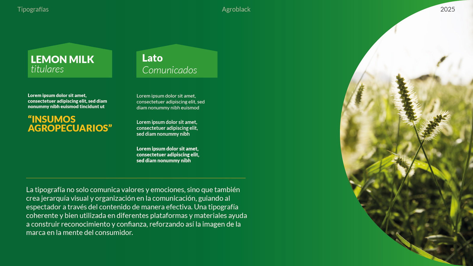 AGROBLACK S.A.: trabajo de BULLET