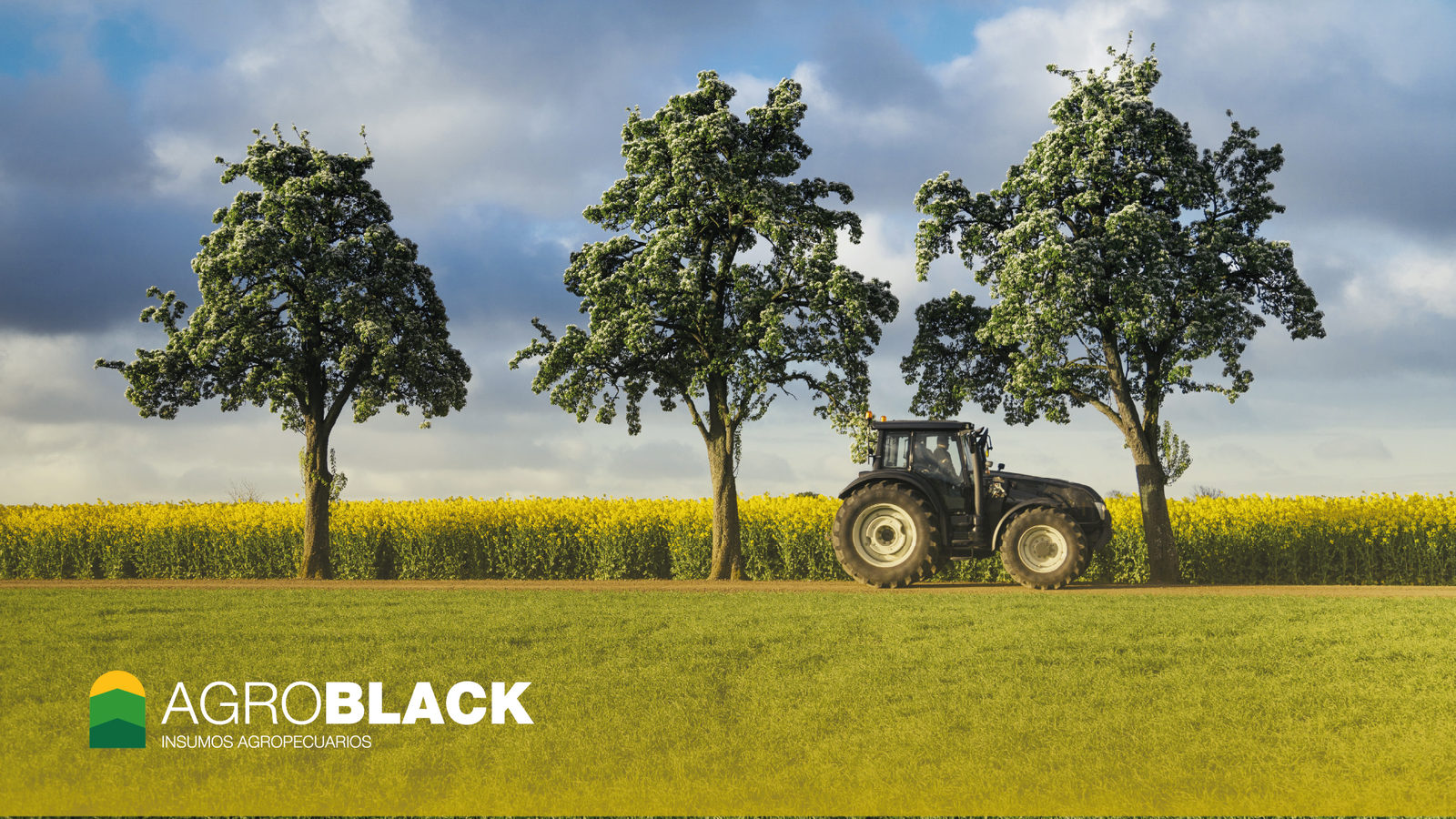 AGROBLACK S.A.: trabajo de BULLET